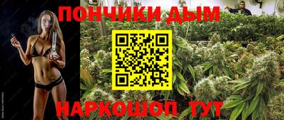 крисы Азнакаево