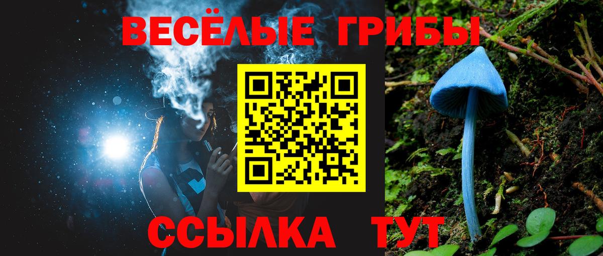 Галлюциногенные грибы MAGIC MUSHROOMS Алейск